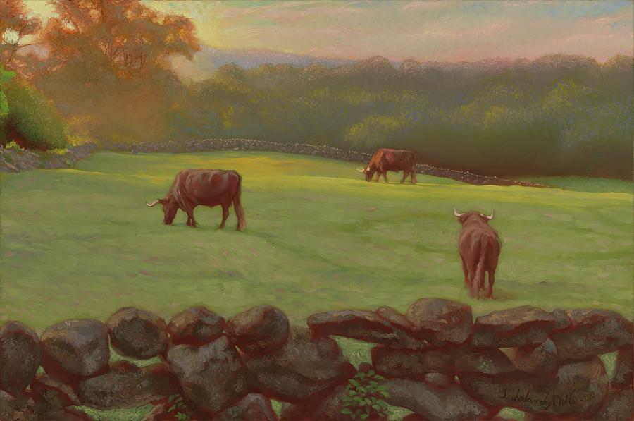 Chilmark Morning Photograph by Island Images Gallery Fine Art America