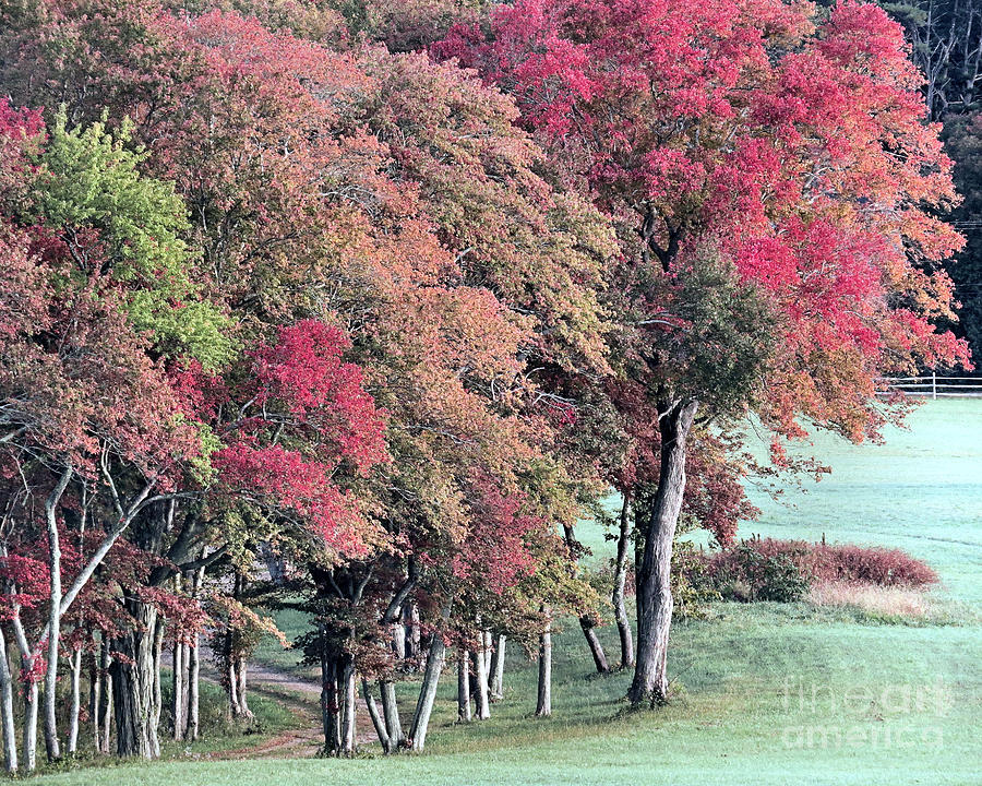 Chiltonville Color Photograph by Janice Drew