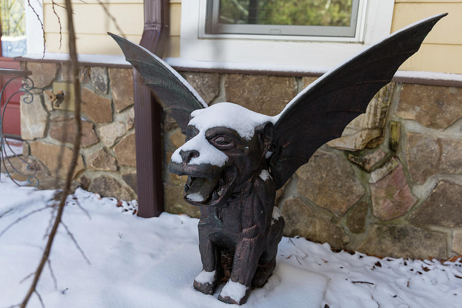 Chimera In The Snow Photograph by D K Wall