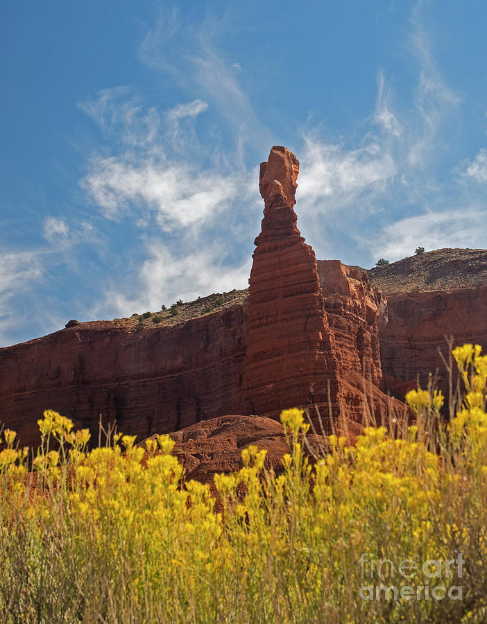 Chimney Rock Capital Reef Photograph by C