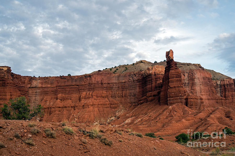 Chimney Rock Capital Reef Photograph by Cindy Murphy - NightVisions