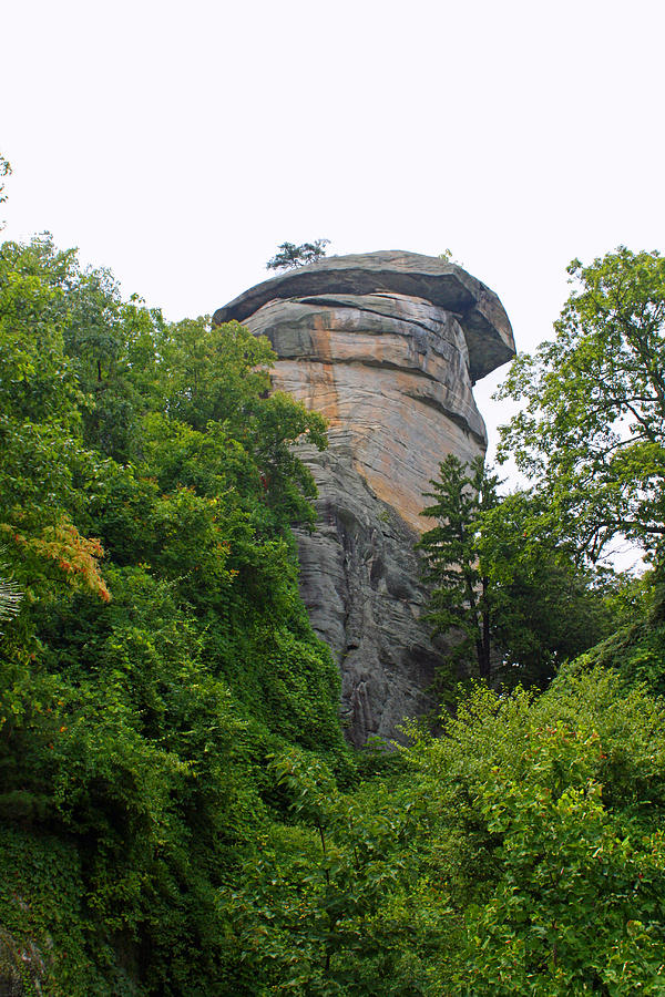 Chimney Rock Photograph by Ellen Tully
