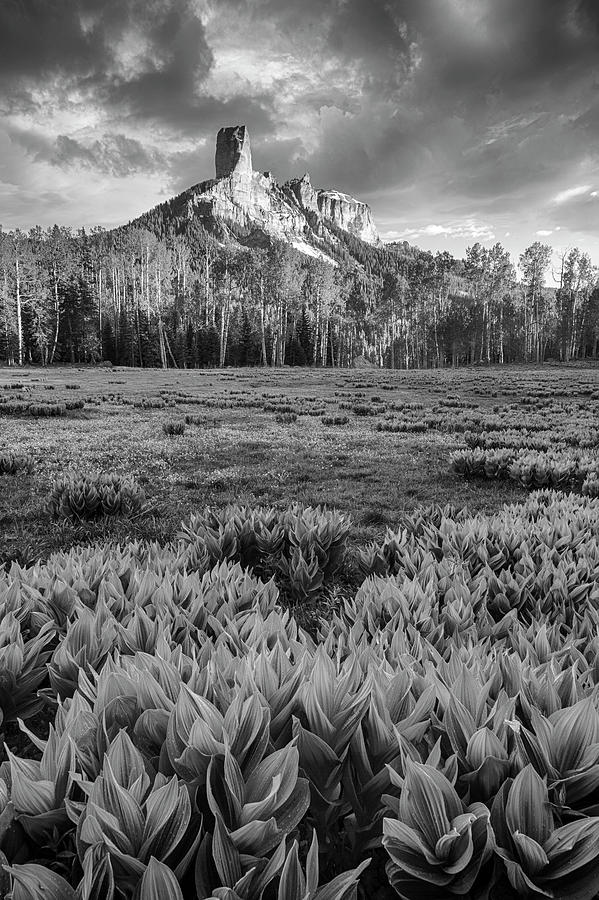 Chimney Rock in Black and White Photograph by Denise Bush
