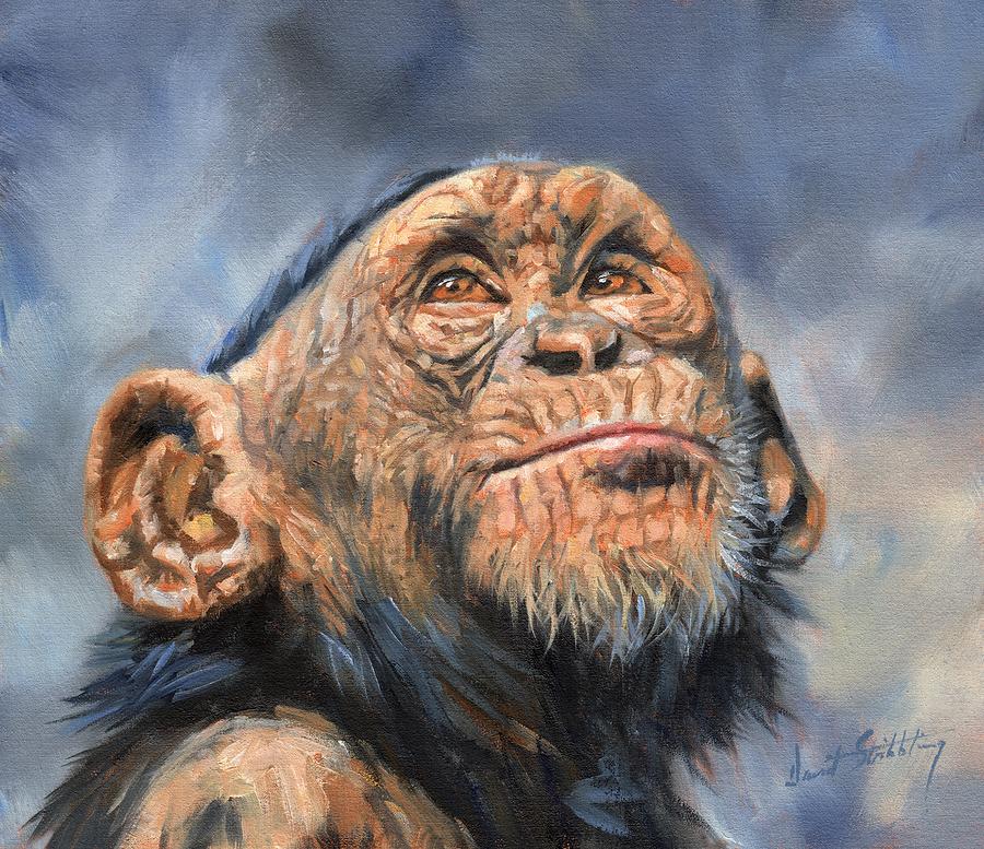 Ape Painting - Chimp by David Stribbling