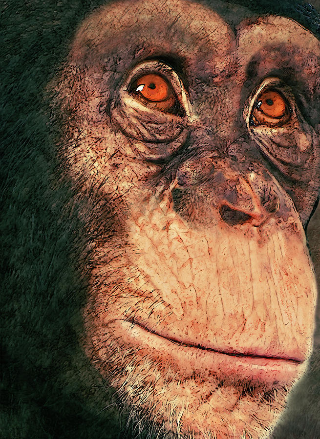 Chimp Painting by Jack Zulli