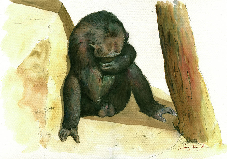 Chimpanzee Painting - Chimp by Juan Bosco