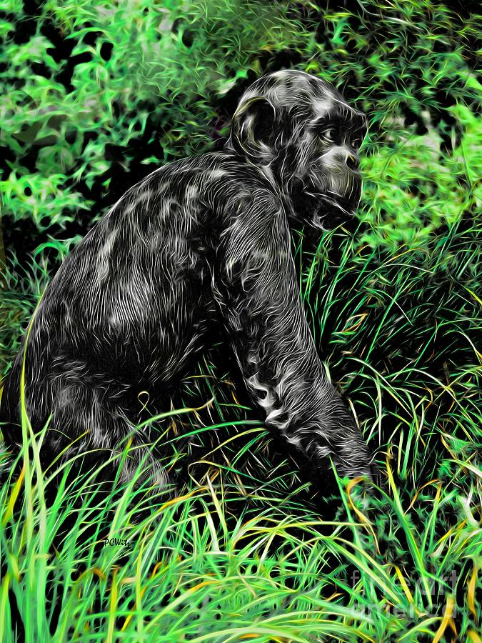 Chimp Digital Art by Patrick Witz