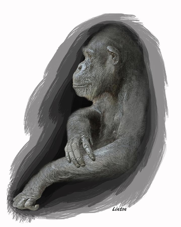 Primate Profile Digital Art by Larry Linton