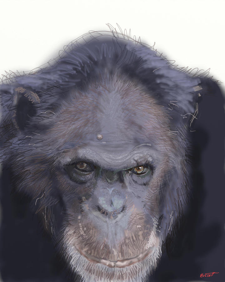 Chimp Digital Art by Robert Bissett