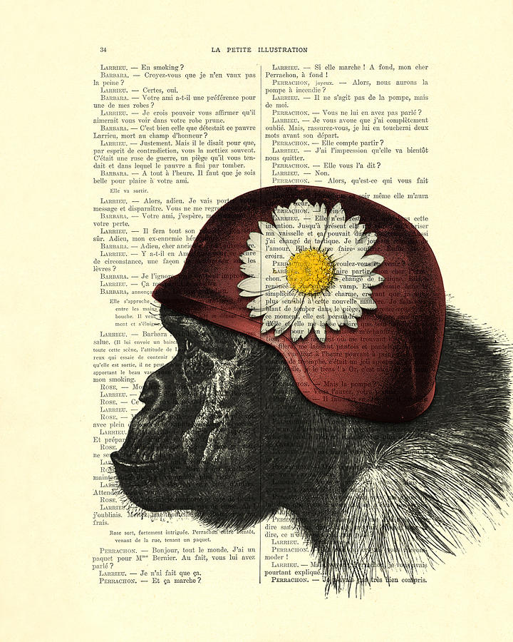 Daisy Mixed Media - Chimpanzee with helmet daisy flower dictionary art by Madame Memento