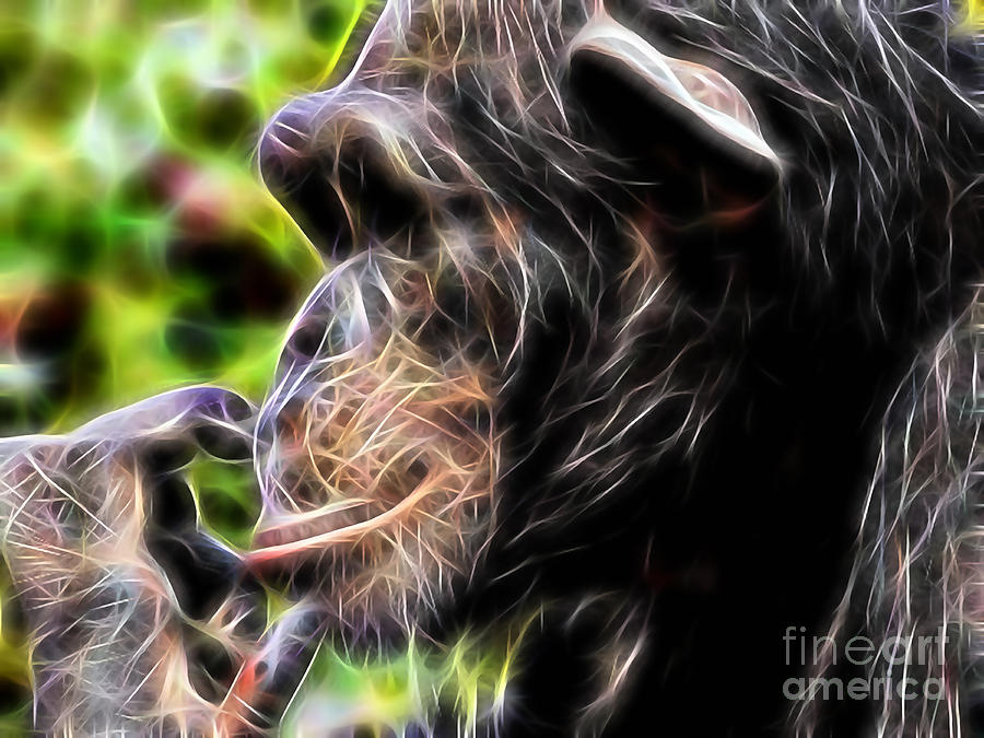 Chimpanzee Mixed Media - Chimpanzee Collection by Marvin Blaine