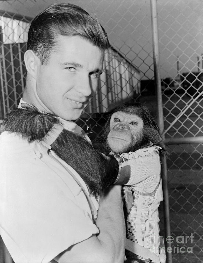 Chimpanzee Enos NASA Astronaut Photograph by Vintage Collectables
