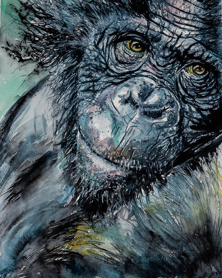 Chimpanzee Painting by Kovacs Anna Brigitta