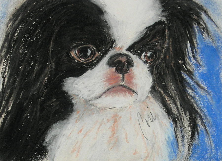 Dog Drawing - Chin-sational by Cori Solomon
