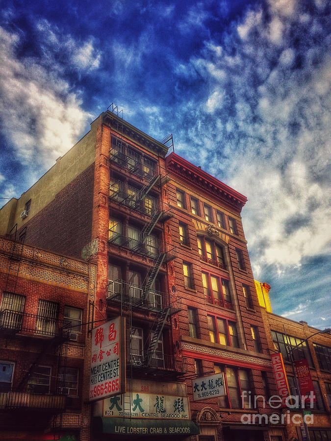 Chinatown New York - Live Lobster Crab and Seafood - Old Buildings of New York Photograph by Miriam Danar