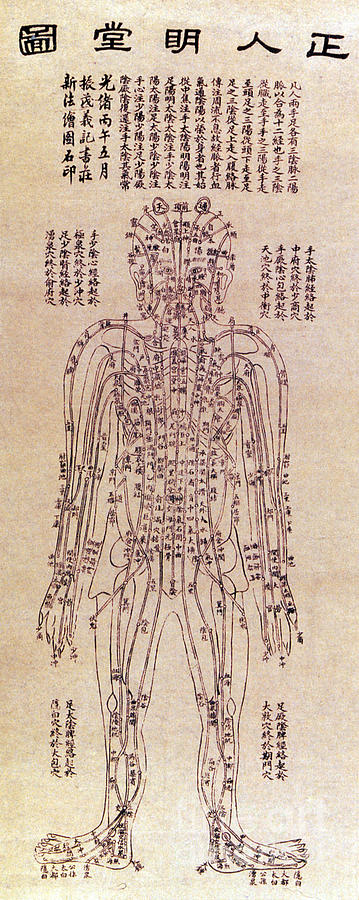 Chinese Acupuncture Chart Photograph by Science Source