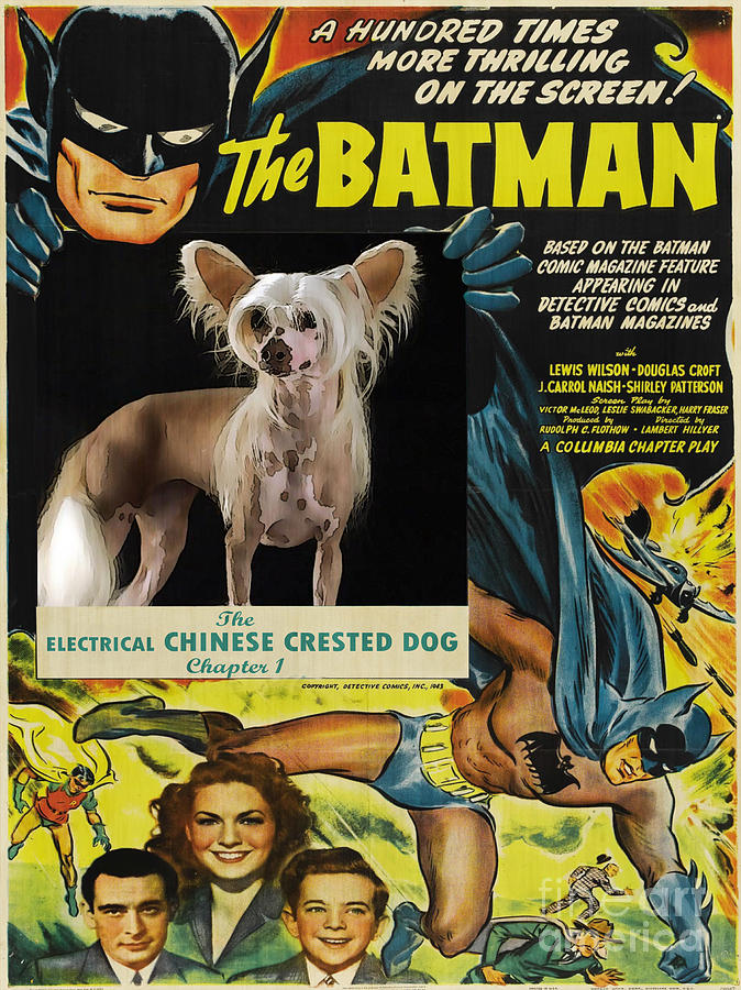 Chinese Crested Art - Batman Movie Poster Art Painting by Sandra Sij
