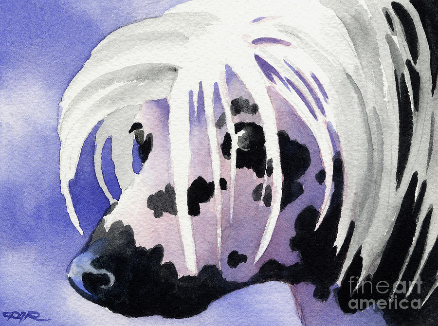 Dog Painting - Chinese Crested Dog by David Rogers