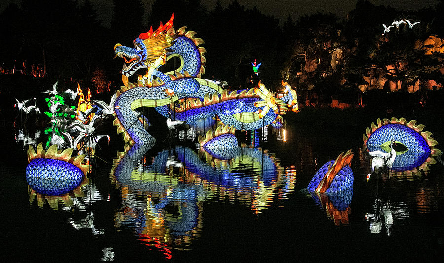 Chinese Dragon Display Photograph by Elvira Butler