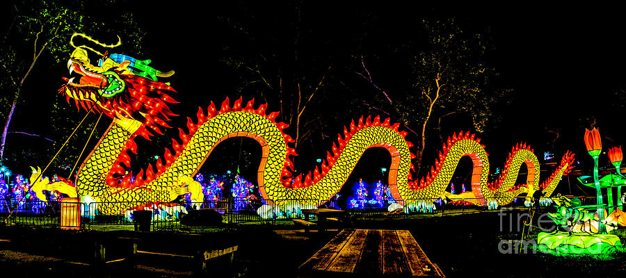 Chinese Dragon Lantern  Photograph by Nick Zelinsky Jr