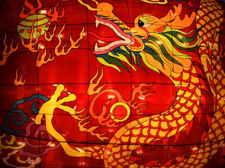 Chinese Dragon Photograph by Nadalyn Larsen