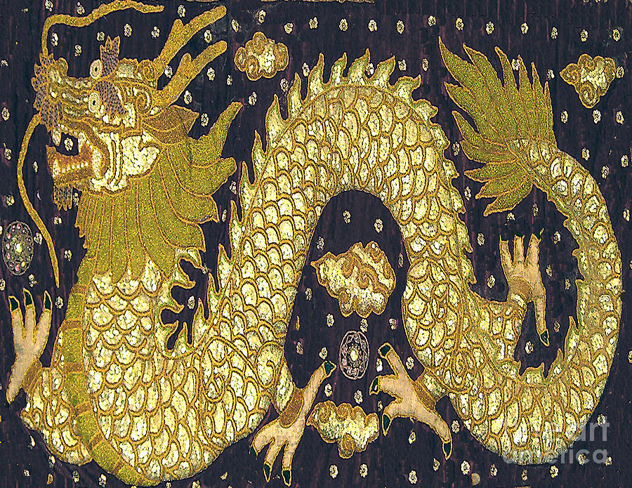 Chinese Dragon Tapestry Photograph by Merton Allen Pixels