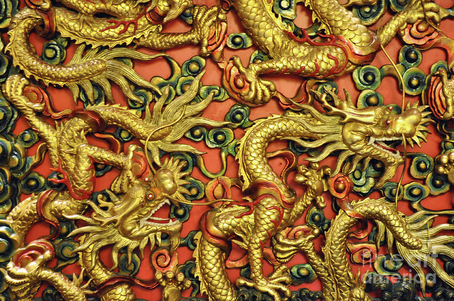 Gold Dragon Photograph - Chinese Dragons by Josephine Cohn