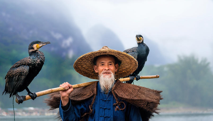 Chinese Fisherman with cormorants Photograph by Ruurd Dankloff