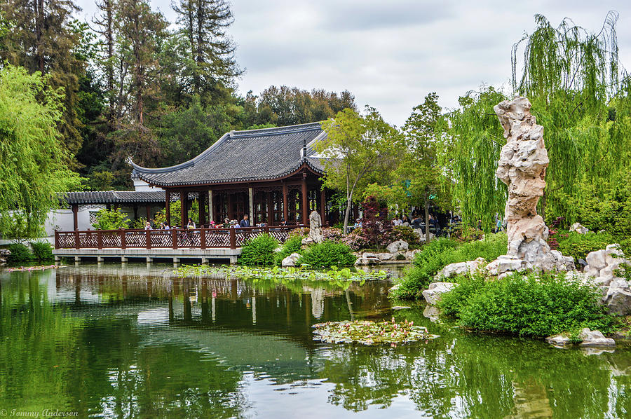 Chinese Gardens, Huntington Libary And Gardens Photograph by Tommy Anderson