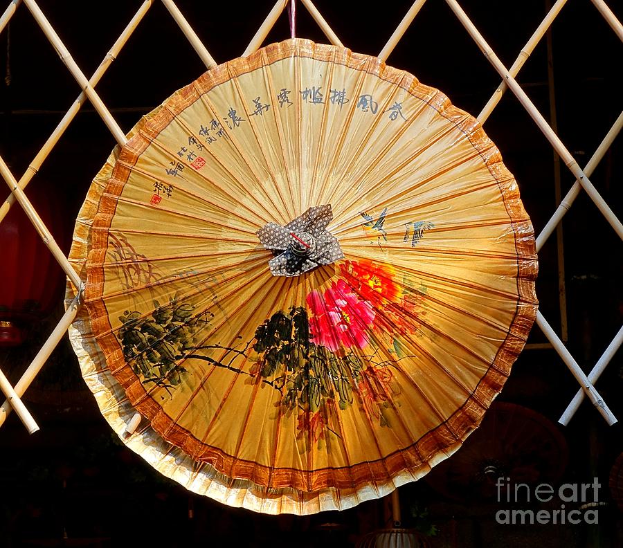 chinese umbrella