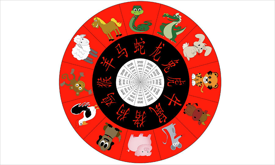 Chinese Horoscope Year Wheel  Photograph by Karen Foley