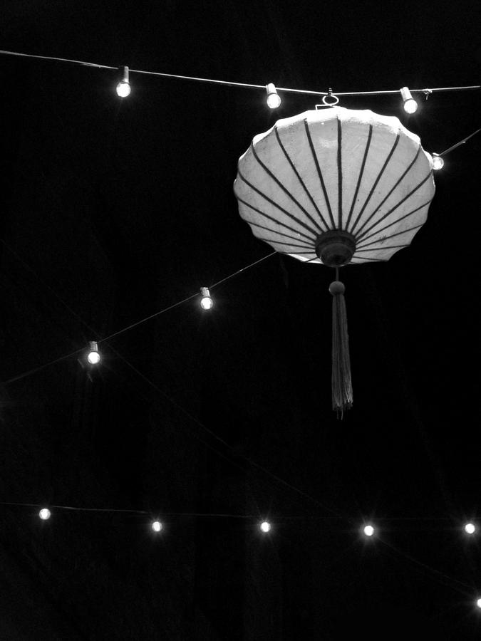 Chinese Lantern Photograph by Micki Findlay