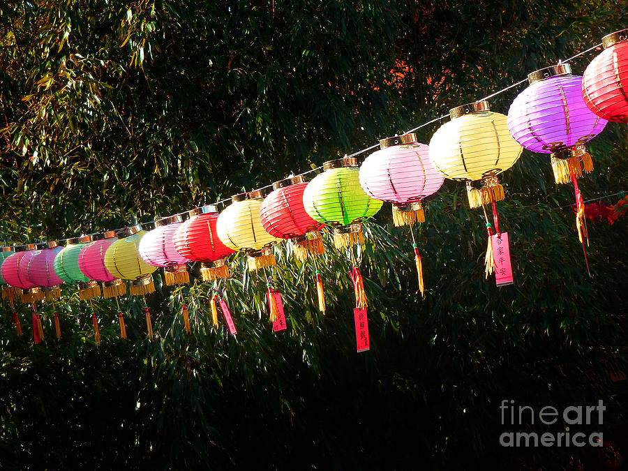 Chinese Lanterns 8 Photograph by Xueling Zou
