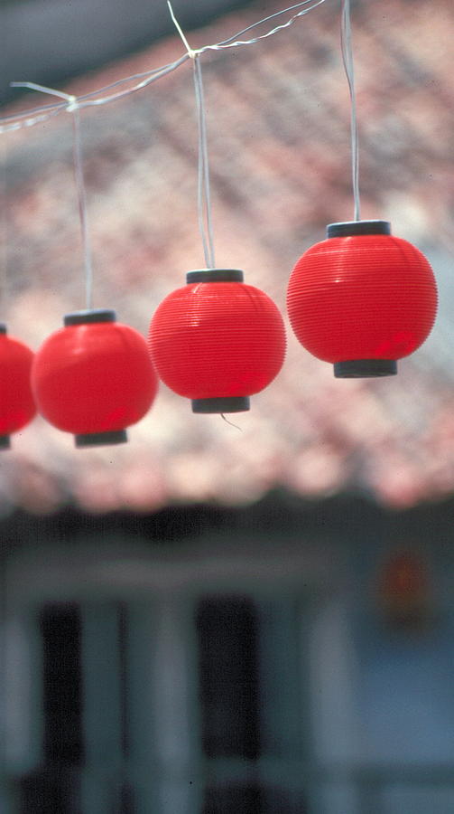 Chinese Lanterns Photograph by Douglas Pike