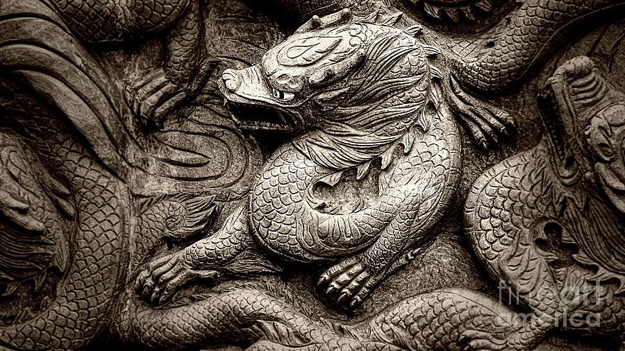 Chinese Mystical Dragon b/w Digital Art by Ian Gledhill