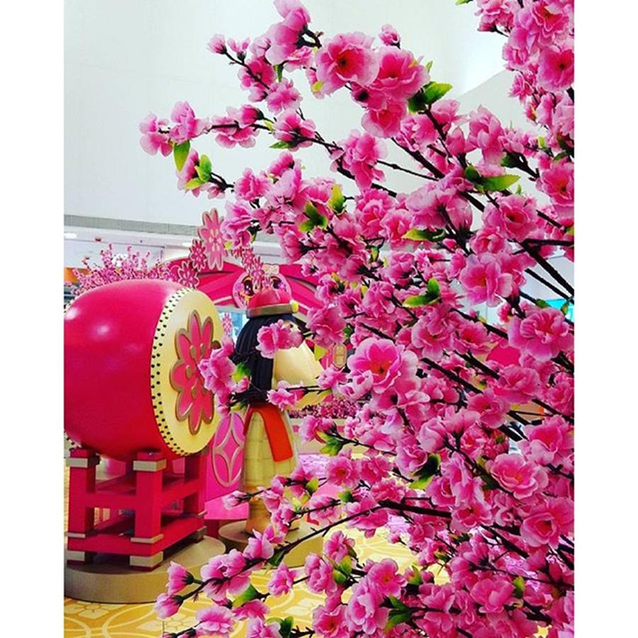 Pink Photograph - Chinese New Year Is Coming by Annie Sta Ines