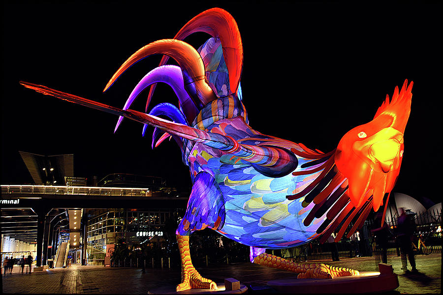 Chinese New Year - Rooster Photograph by Andrei SKY