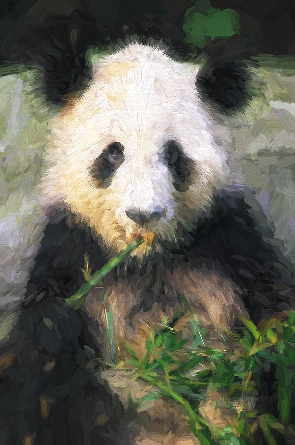 Chinese Panda Bear Photograph by Patrick Hoenderkamp - Pixels