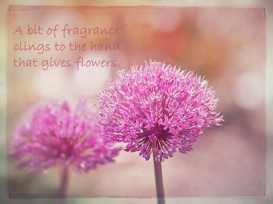 Inspirational Photograph - Chinese Proverb  by Maria Angelica Maira