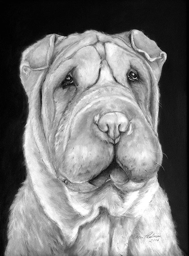 Chinese Sharpei Painting by Portraits By NC