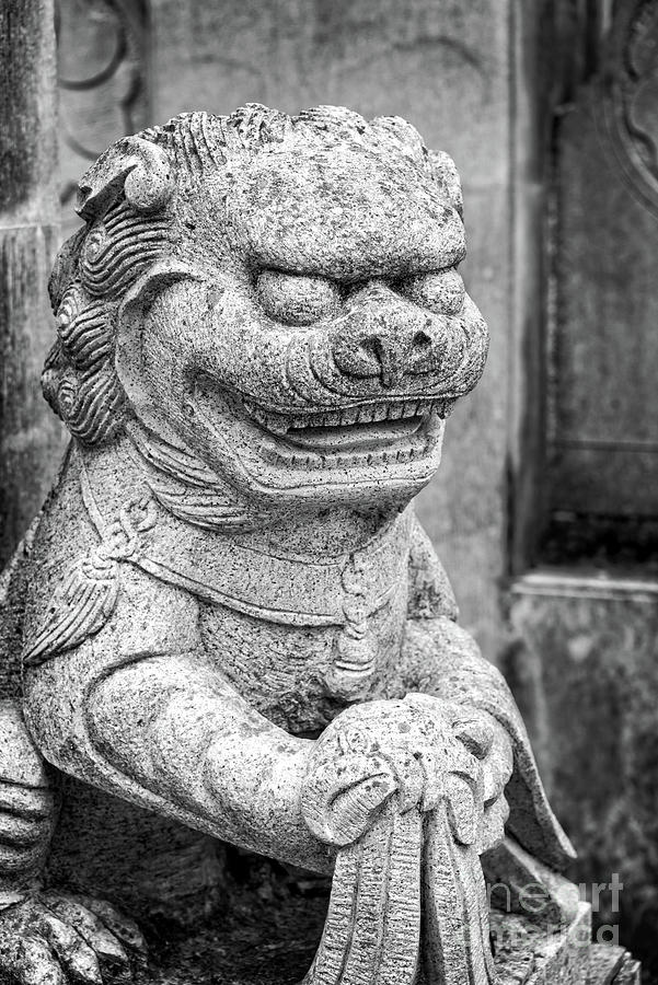 Black And White Photograph - Chinese stone lion by Delphimages Photo Creations