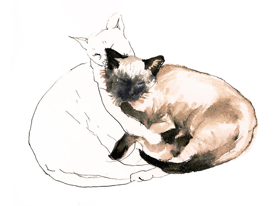 Cat Drawing - Chinky and Chang   by Roz McQuillan
