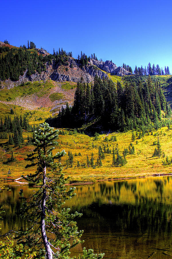 Chinook Pass Photograph by David Patterson - Fine Art America