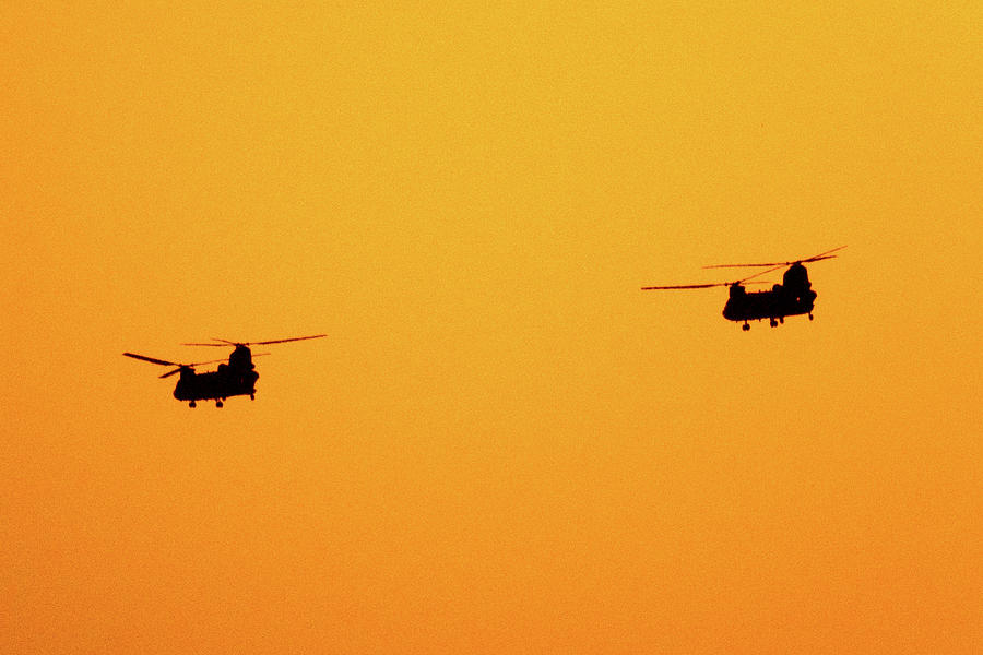 Chinooks at Sunset Photograph by SR Green