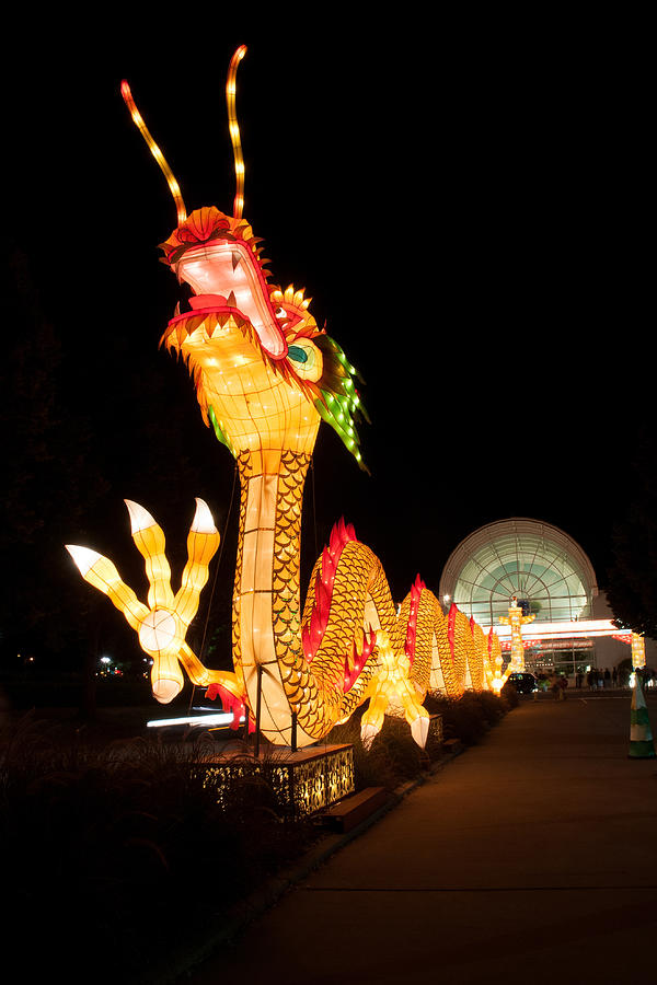 Chinses Dragon Lantern  Photograph by Steve Stuller
