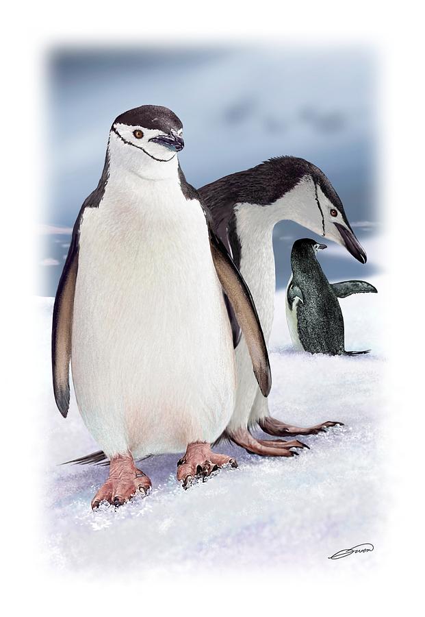 Chinstrap Penguins 2 Digital Art by Owen Bell
