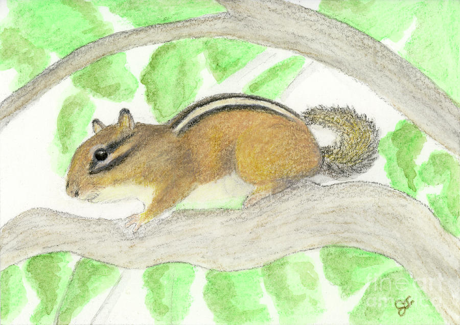Chipmunk in the Apple Tree Painting by Jackie Irwin