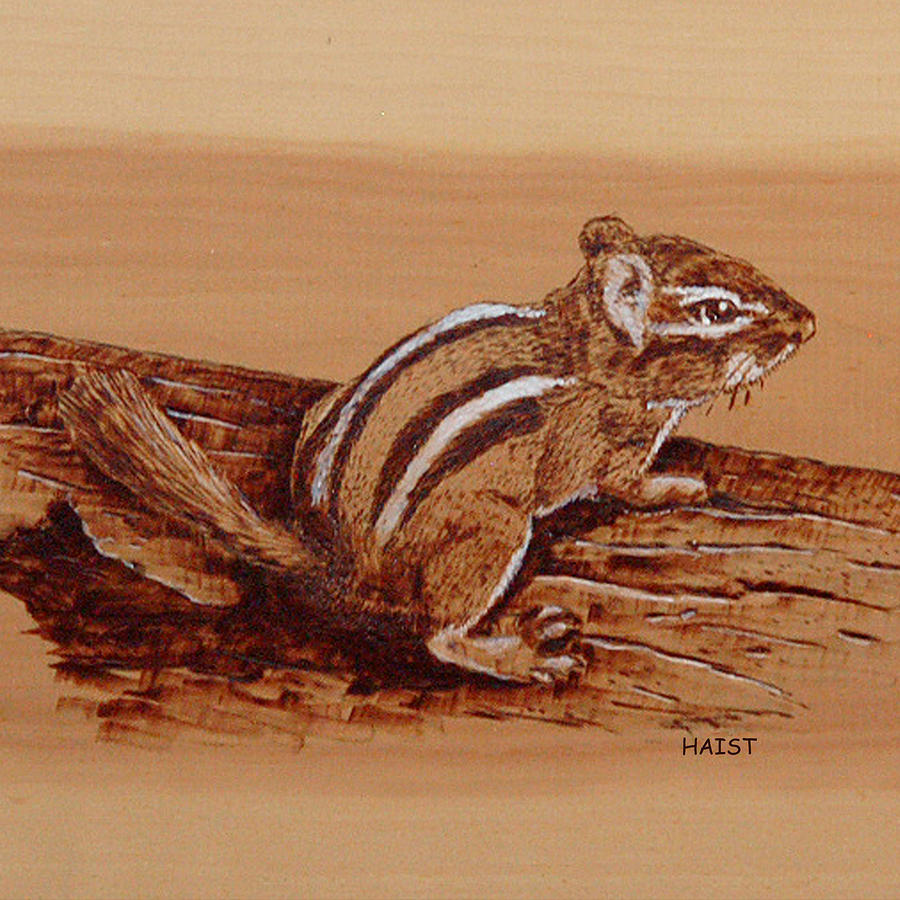 Chipmunk Pillow/bag Pyrography by Ron Haist