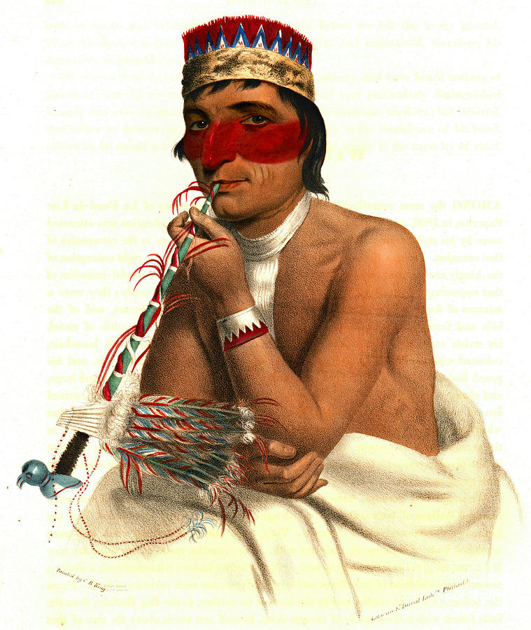 Chippeway Chief 1836 Photograph by Padre Art