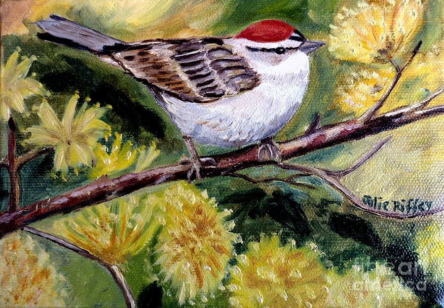 Chipping Sparrow Painting by Julie Brugh Riffey